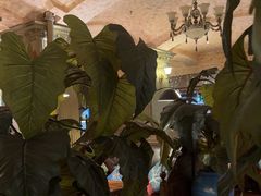 -凯撒城堡西餐厅(颐和国际店)