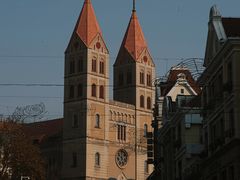 -树懒黑胶唱片店(中山路店)