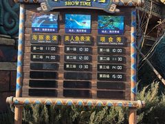 -哈尔滨波塞冬海底世界