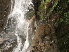 -藏龙百瀑风景区