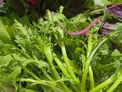 -快乐小羊(富强中路店)