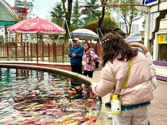 -国色天乡三期陆地乐园