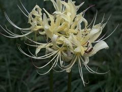 -白塘生态植物园