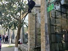 -贵州森林野生动物园