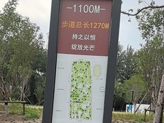 -庄怡公园