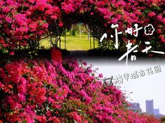 -香山湖公园