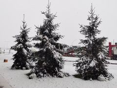 -米兰马尔彭萨国际机场