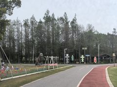 -上海长兴岛郊野公园