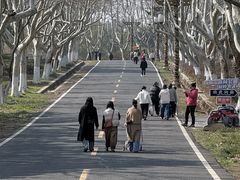 -宜兴龙背山森林公园