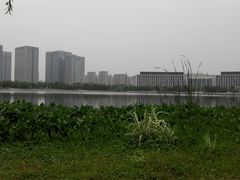 -尚贤河湿地