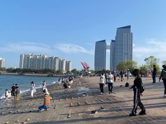 -日照世帆赛基地