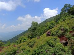 -广州市石门国家森林公园