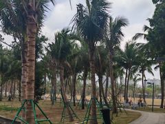 -白沙门生态公园