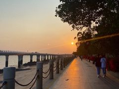 -演武大桥观景平台