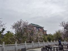 -华农酸奶文化馆