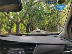 -亚龙湾中心广场