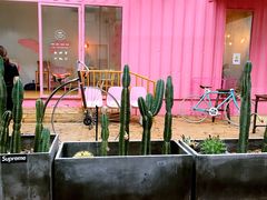 -灯塔咖啡馆BOOK·Coffee Shop