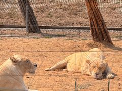 -秦皇岛野生动物园