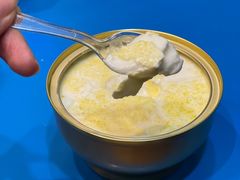 -德禄酸奶(莫家街店)