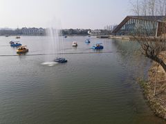 -上海长兴岛郊野公园