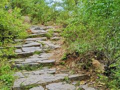 -阳台山自然风景区