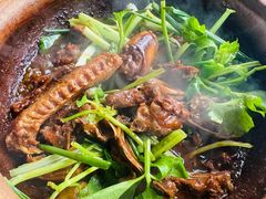 -霞姐屯昌枫木香草鸭店(海螺店)