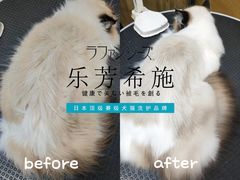 -汪小喵宠物·戴维斯乐芳希施宠馨宝皮毛调理洗护店