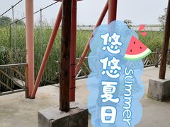 -河北村民俗体验园