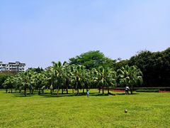 -东风公园