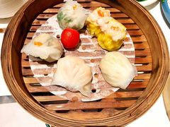 -新兴·金羊座·粤菜点心(乐峰店)
