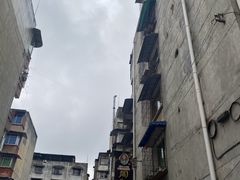 -周肥肠(江油总店)