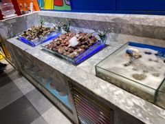 扇贝-火锅岛潮牌自助餐厅(天津天佑城店)