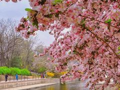 -元大都城垣遗址公园