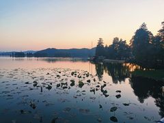 -东湖落雁景区