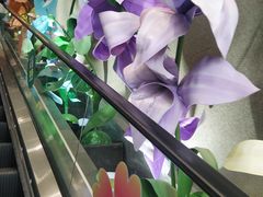 -皇城恒隆广场