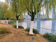 -天鹅湖体育公园