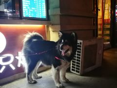 -张记烤羊腿(北花园店)