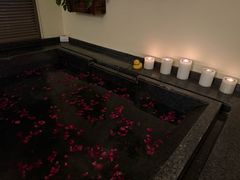 -春晖园度假酒店温泉