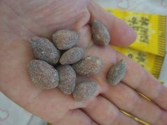 -新世界百货(明洞总店)