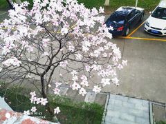 -浙江万里学院(回龙校区)