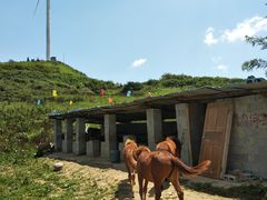 -齐岳山