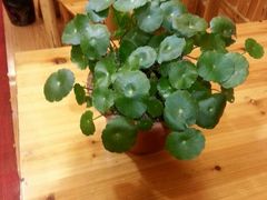 android_upload_pic-十里香粉馆(虹桥中路店)