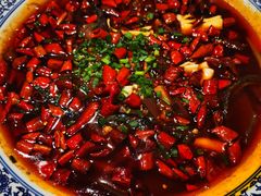 -院8里·少城记忆老川菜(宽窄巷子店)