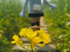 -桤木河湿地公园