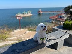 -养马岛旅游度假区