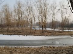 -东郊湿地公园