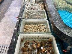 -渔码头食府(蓬莱阁店)