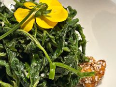 珀仁桑叶芽-彩虹之约•淮扬家宴(亚运村店)