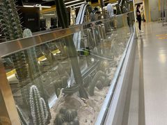 -超鹿运动(大唐世家店)