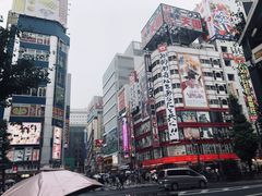 -秋叶原电器街